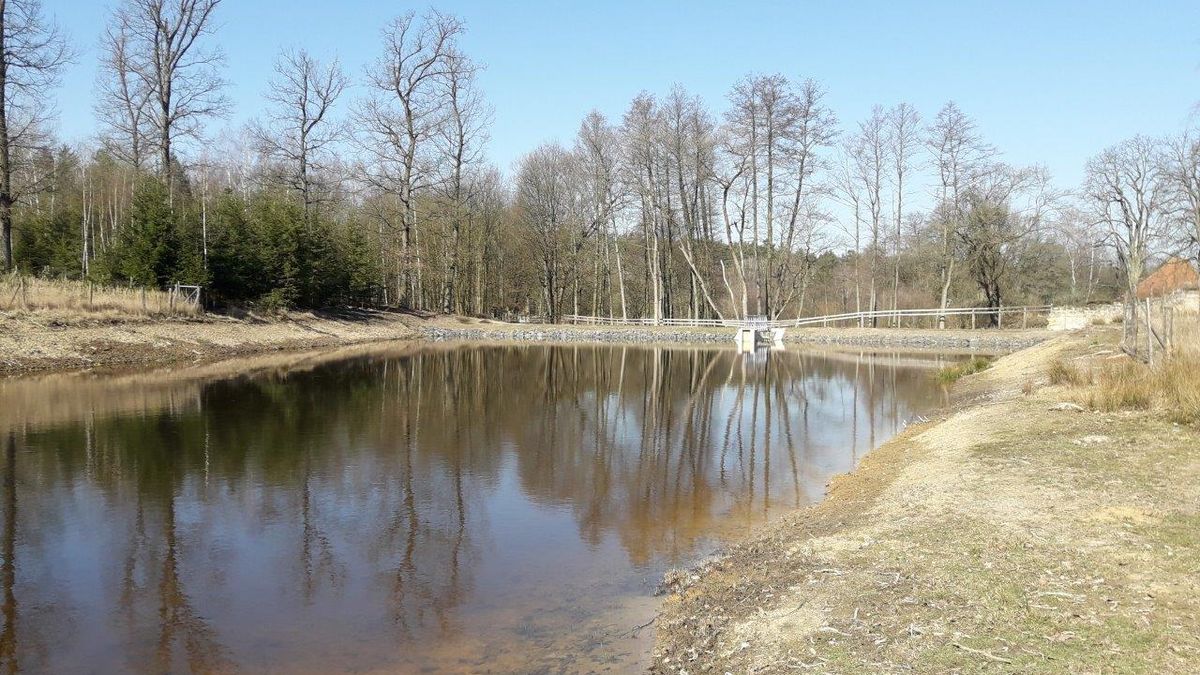 Ve Žďárských vrších přibyly díky dotacím obnovené rybníky i tůně